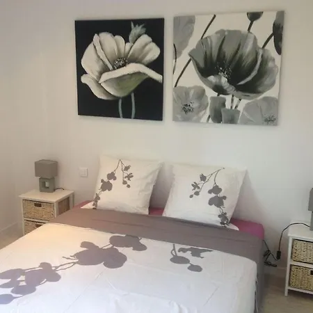 Hyper Centre Fesch 아작시오