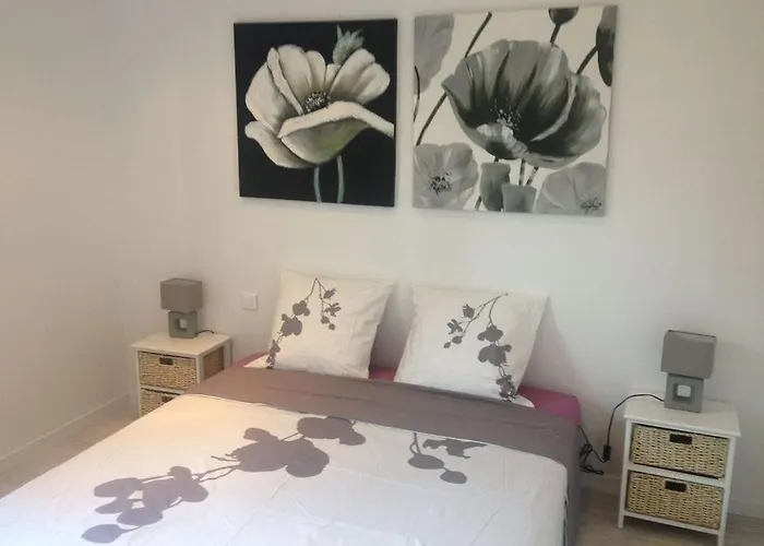 Hyper Centre Fesch Ajaccio (Corsica)